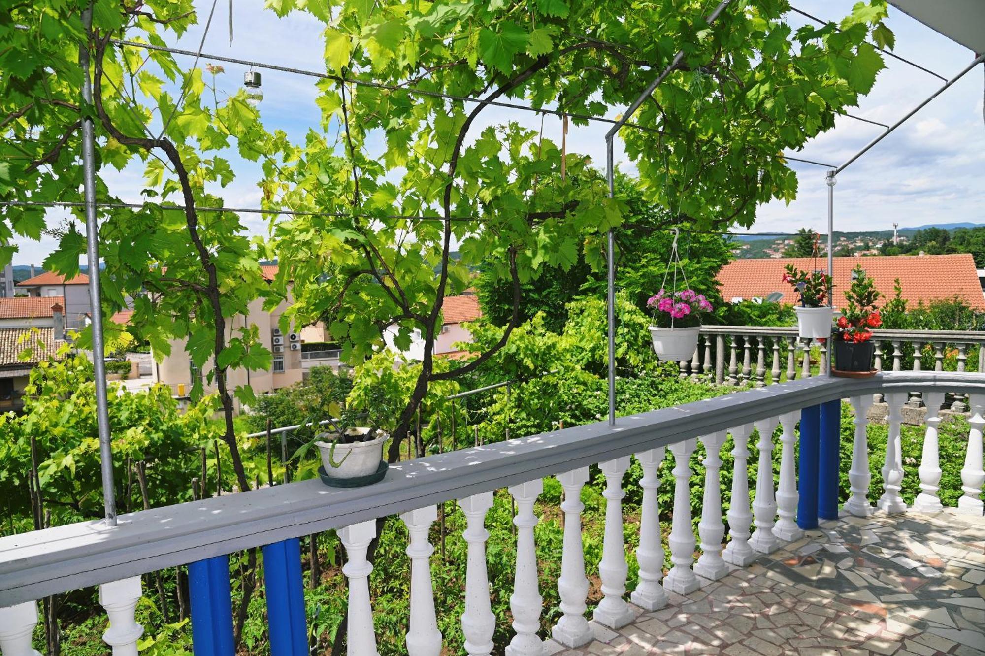 Biondi Viskovo