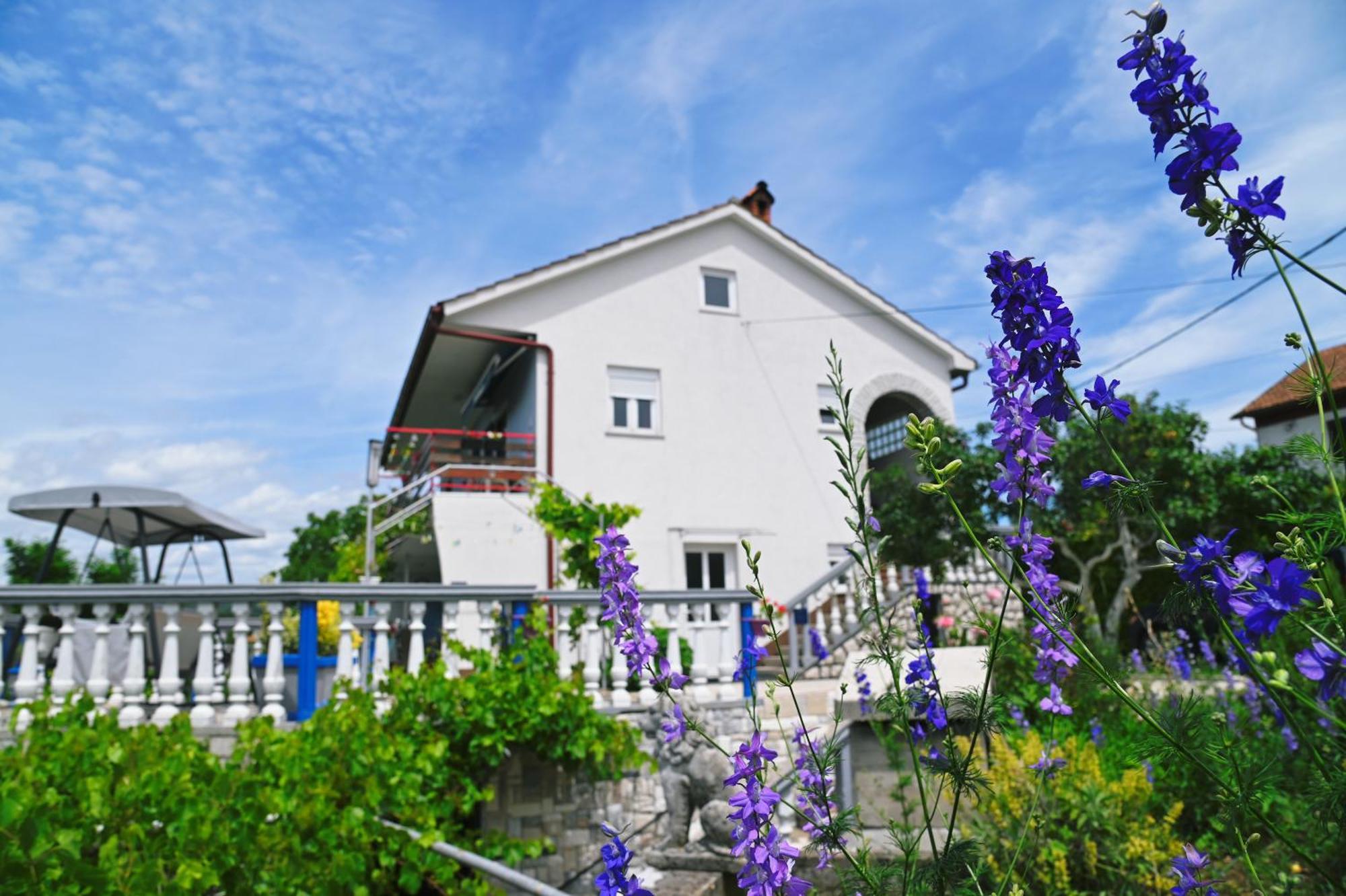 Apartment Biondi Viskovo